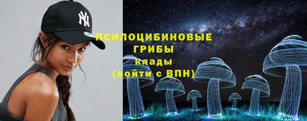 сатива Гусев