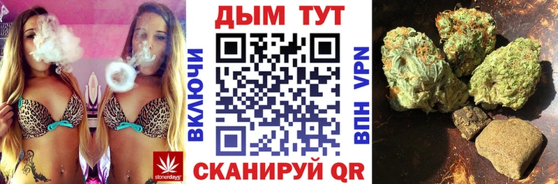 где купить   Махачкала  Каннабис White Widow 